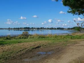 Ile d arz