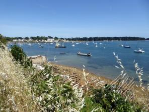 Larmor